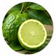 Bergamot