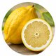 Citron